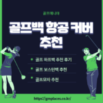 골프백 항공 커버