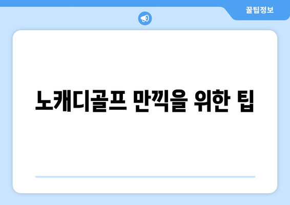 노캐디골프 만끽을 위한 팁