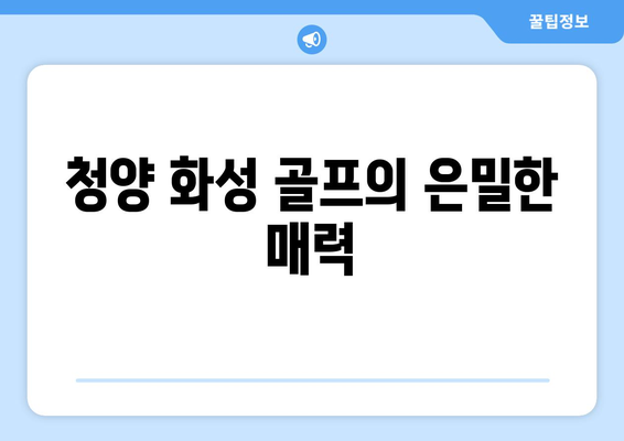 청양 화성 골프의 은밀한 매력