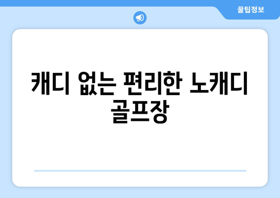 캐디 없는 편리한 노캐디 골프장