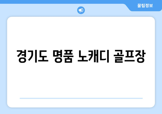 경기도 명품 노캐디 골프장