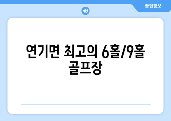 연기면 최고의 6홀/9홀 골프장