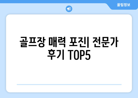 골프장 매력 포진| 전문가 후기 TOP5