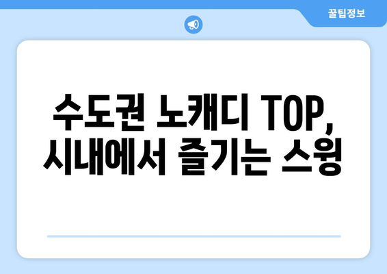 수도권 노캐디 TOP, 시내에서 즐기는 스윙