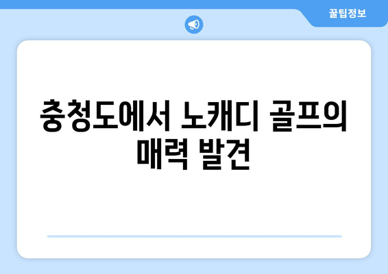 충청도에서 노캐디 골프의 매력 발견