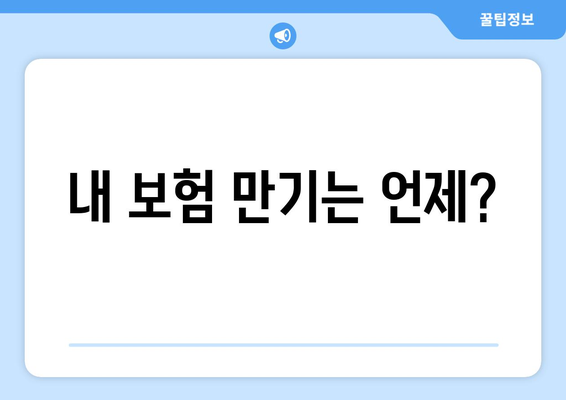 내 보험 만기는 언제?