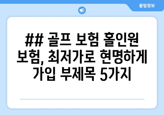 ## 골프 보험 홀인원 보험, 최저가로 현명하게 가입 부제목 5가지