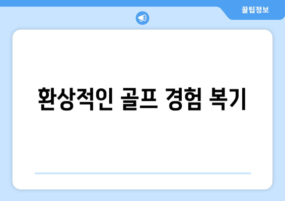 환상적인 골프 경험 복기