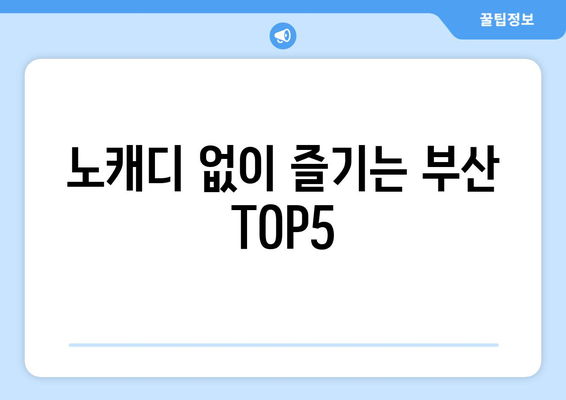 노캐디 없이 즐기는 부산 TOP5