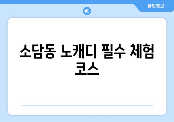 소담동 노캐디 필수 체험 코스