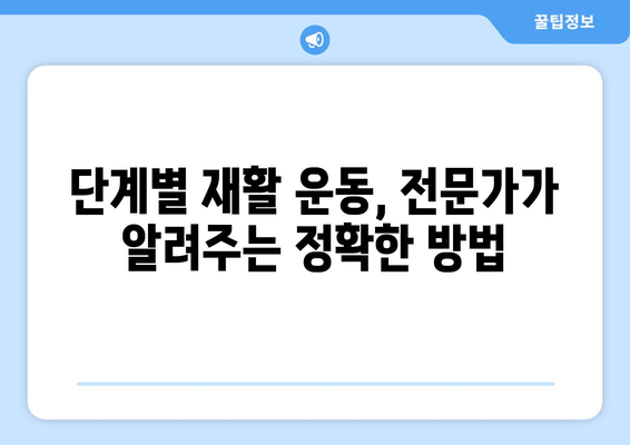 무릎 전방십자인대파열| 수술 시기와 재활 운동 완벽 가이드 | 부상 회복, 재활 운동 계획, 전문가 조언