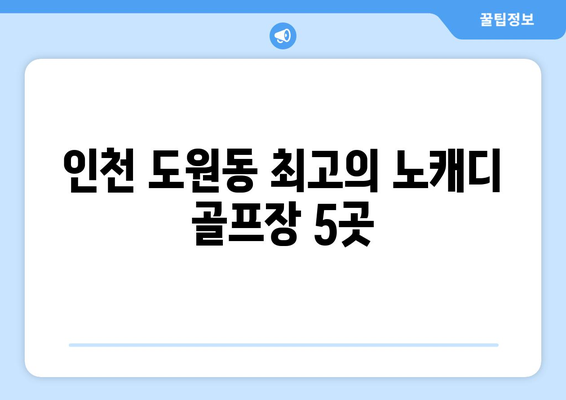 인천 도원동 최고의 노캐디 골프장 5곳