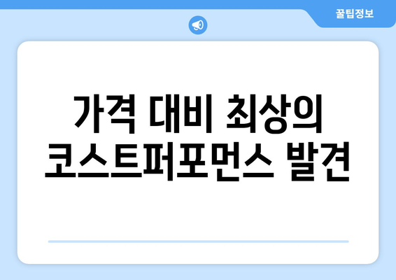 가격 대비 최상의 코스트퍼포먼스 발견