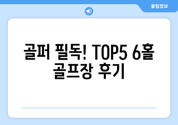 골퍼 필독! TOP5 6홀 골프장 후기