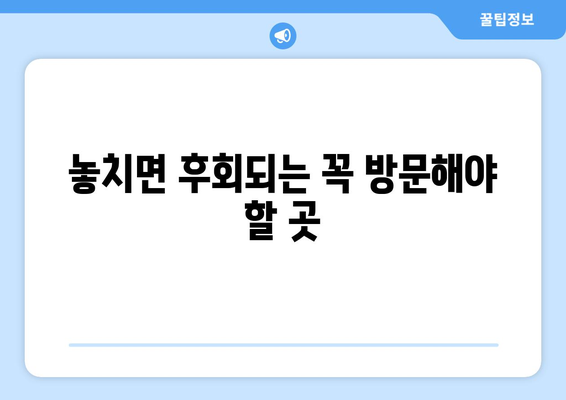 놓치면 후회되는 꼭 방문해야 할 곳