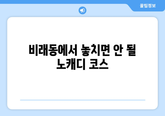 비래동에서 놓치면 안 될 노캐디 코스