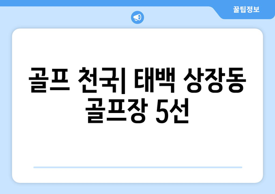 골프 천국| 태백 상장동 골프장 5선