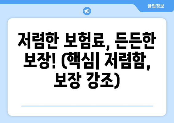 저렴한 보험료, 든든한 보장! (핵심| 저렴함, 보장 강조)