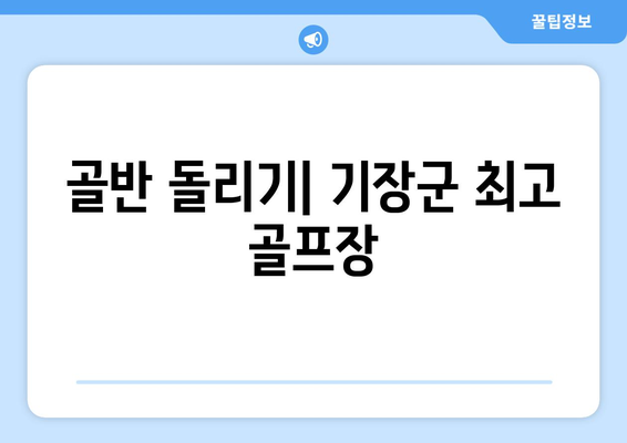 골반 돌리기| 기장군 최고 골프장