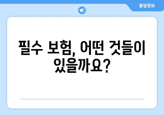 필수 보험, 어떤 것들이 있을까요?