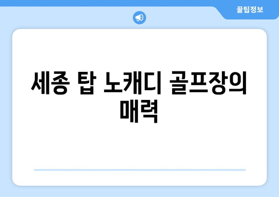 세종 탑 노캐디 골프장의 매력