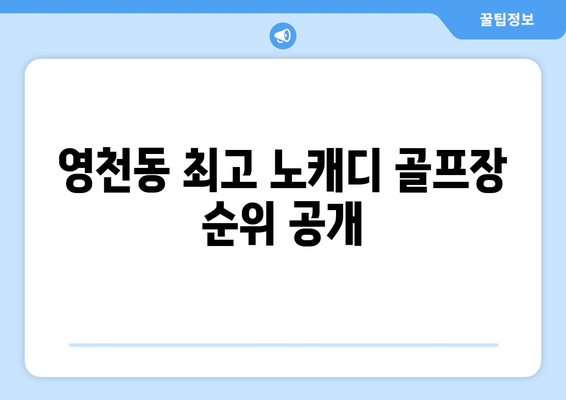 영천동 최고 노캐디 골프장 순위 공개