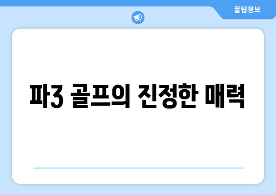 파3 골프의 진정한 매력