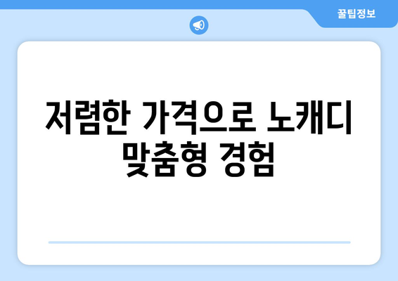 저렴한 가격으로 노캐디 맞춤형 경험