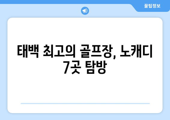 태백 최고의 골프장, 노캐디 7곳 탐방