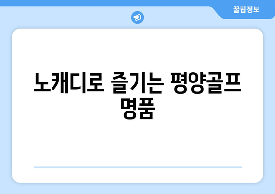 노캐디로 즐기는 평양골프 명품