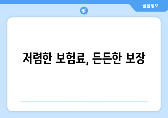 저렴한 보험료, 든든한 보장