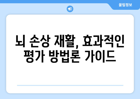 뇌 손상 재활 효과 측정| 서비스 효과성 평가 방법론 가이드 | 재활, 뇌 손상, 평가, 측정, 방법론