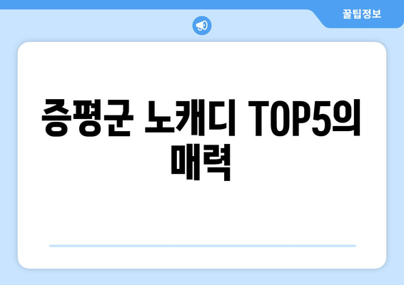 증평군 노캐디 TOP5의 매력