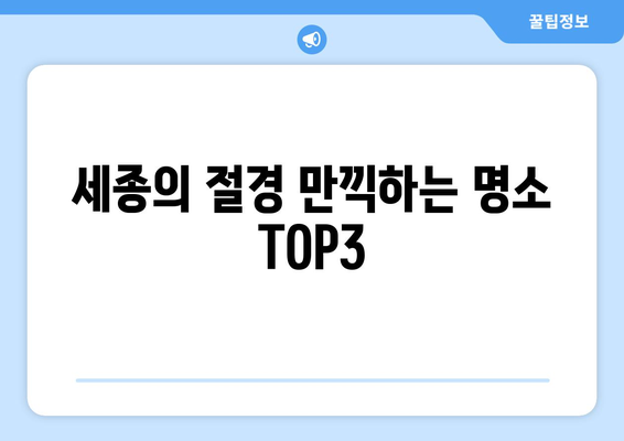 세종의 절경 만끽하는 명소 TOP3