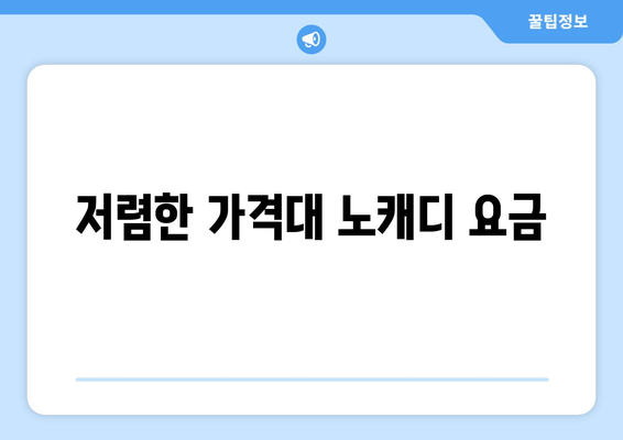 저렴한 가격대 노캐디 요금