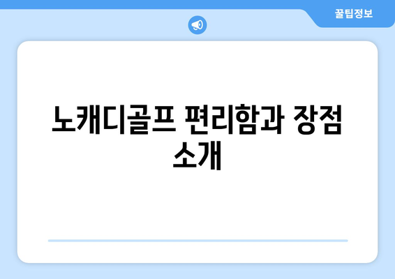 노캐디골프 편리함과 장점 소개