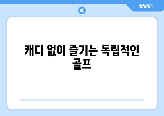 캐디 없이 즐기는 독립적인 골프