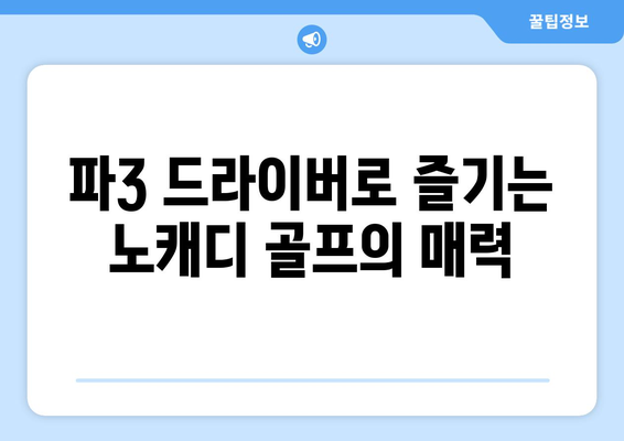 파3 드라이버로 즐기는 노캐디 골프의 매력