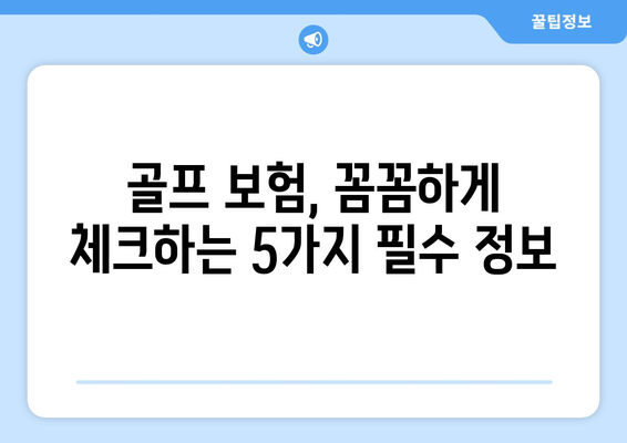 골프 보험, 꼼꼼하게 체크하는 5가지 필수 정보