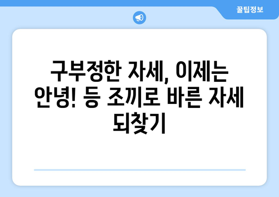 등 조끼| 자세 교정과 허리 통증 완화를 위한 완벽 가이드 | 자세 개선, 허리 통증, 등 조끼, 추천, 효과, 사용법