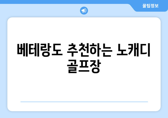 베테랑도 추천하는 노캐디 골프장