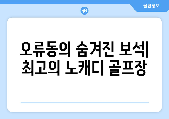 오류동의 숨겨진 보석| 최고의 노캐디 골프장