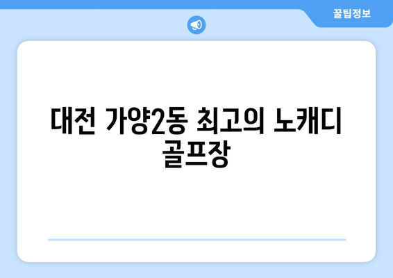 대전 가양2동 최고의 노캐디 골프장