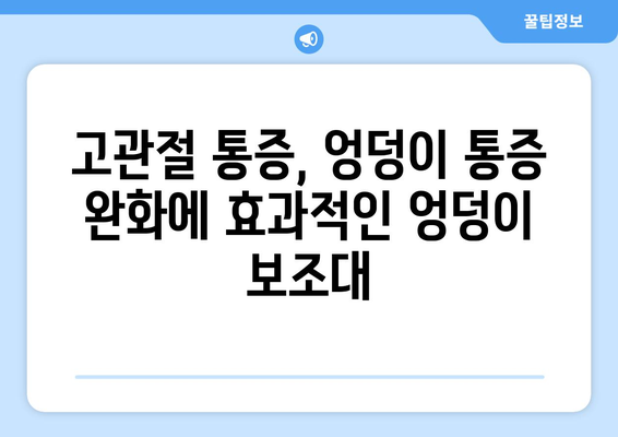 엉덩이 보조대| 고관절 통증 및 불안정성 해결 위한 사용 가이드 | 고관절 통증, 엉덩이 통증, 재활, 운동, 보조기