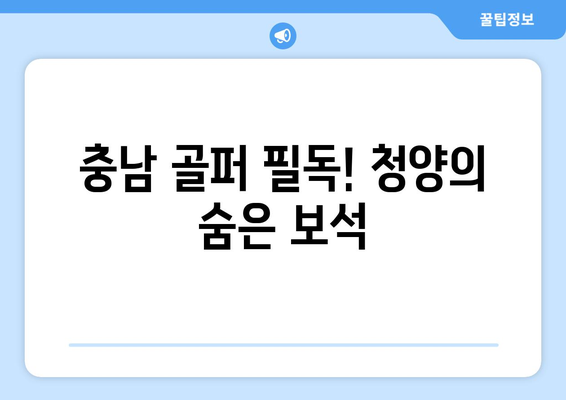 충남 골퍼 필독! 청양의 숨은 보석