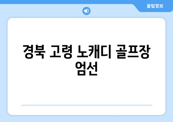 경북 고령 노캐디 골프장 엄선