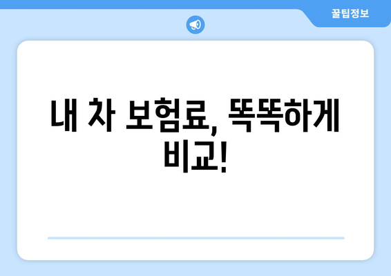 내 차 보험료, 똑똑하게 비교!