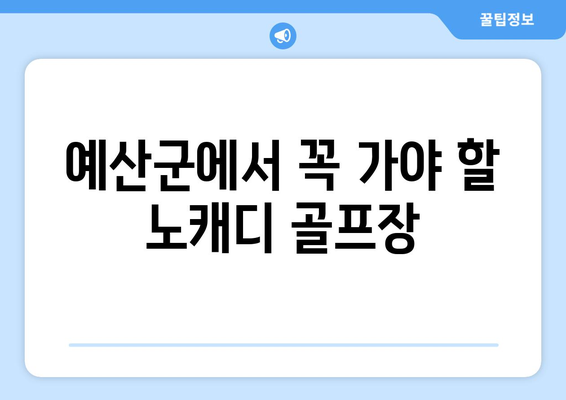 예산군에서 꼭 가야 할 노캐디 골프장