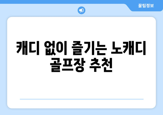 캐디 없이 즐기는 노캐디 골프장 추천