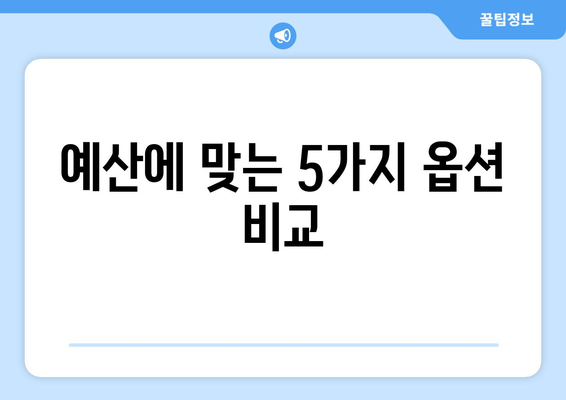 예산에 맞는 5가지 옵션 비교